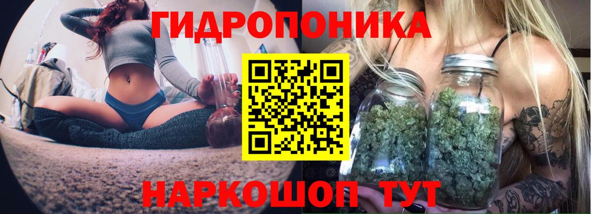 Конопля марихуана  Бошки марихуана тримм  Зеленокумск  Каннабис Ganja  Вход с VPN  Шишки марихуана семена 